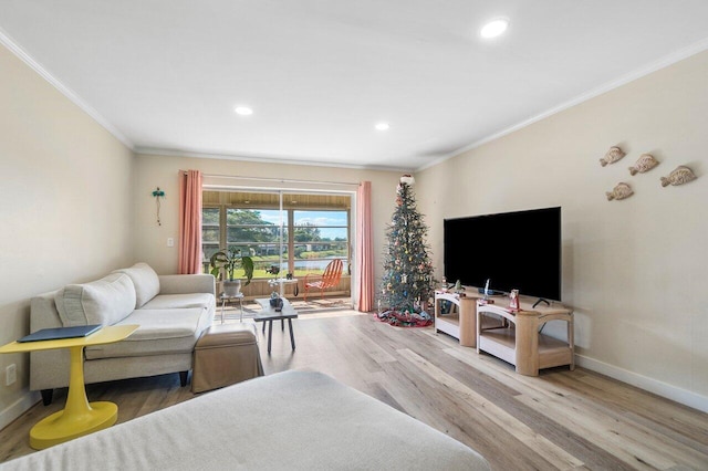 living room featuring ornamental molding and light hardwood / wood-style flooring