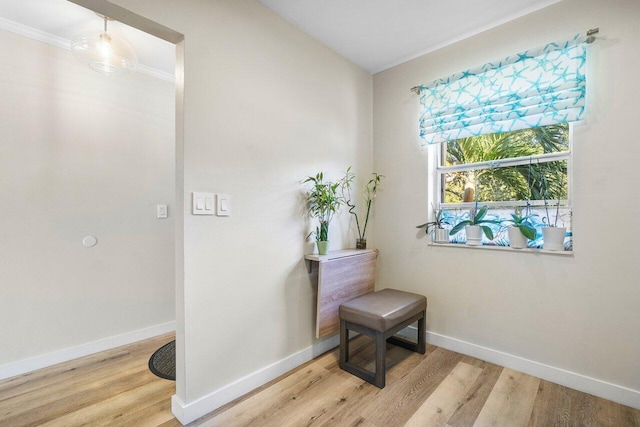 interior space with ornamental molding and light hardwood / wood-style flooring