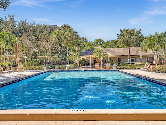 view of swimming pool with a patio