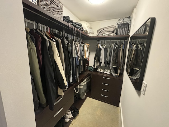 spacious closet featuring light colored carpet