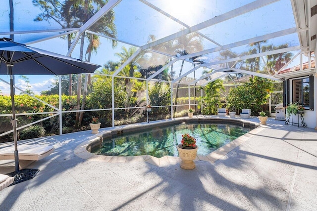 view of pool featuring a patio and glass enclosure