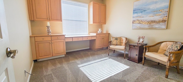 living area featuring carpet floors and built in desk