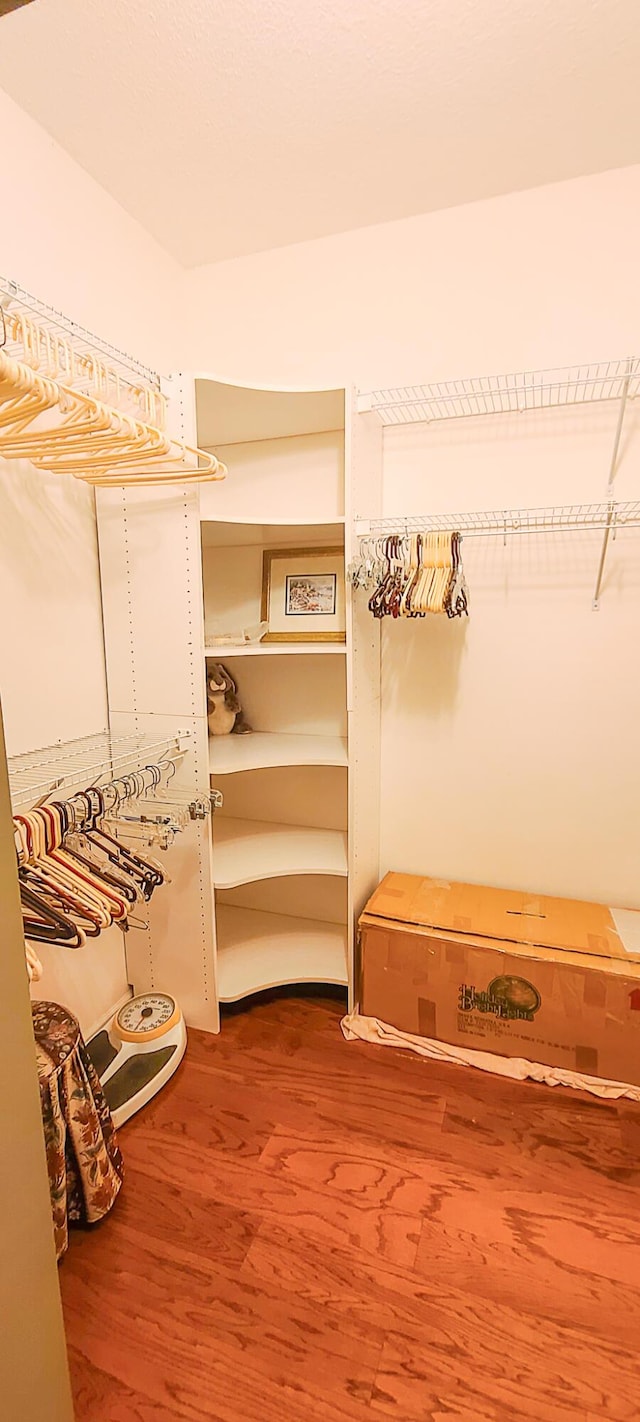 spacious closet featuring hardwood / wood-style floors