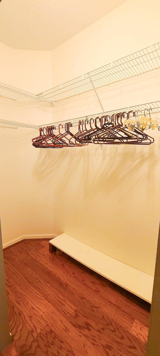 spacious closet with hardwood / wood-style flooring