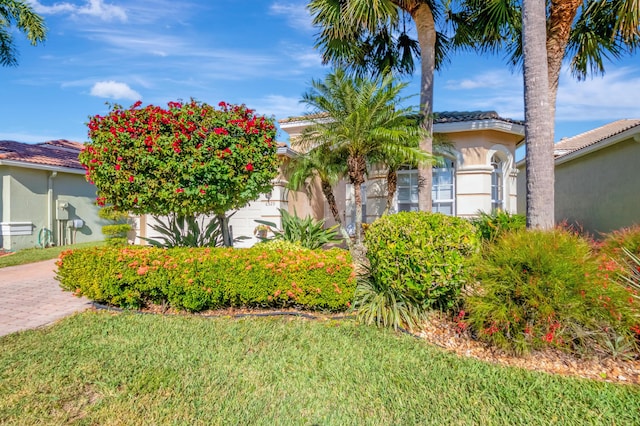 view of front of property featuring a front lawn