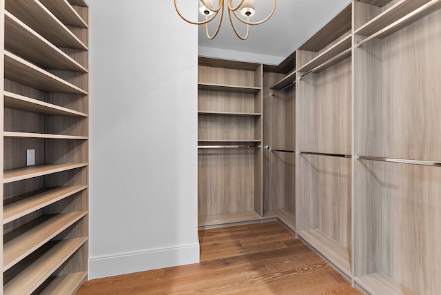 walk in closet with hardwood / wood-style flooring and a notable chandelier