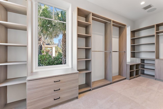 walk in closet featuring light carpet