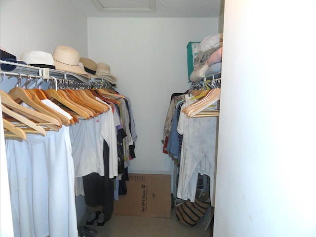 walk in closet featuring carpet floors