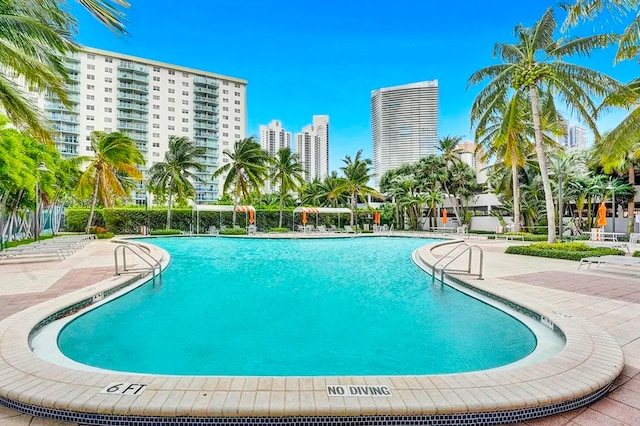 view of swimming pool featuring a patio area