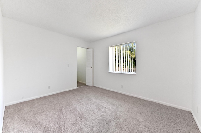 unfurnished room with carpet floors and a textured ceiling