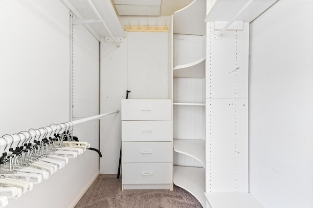 walk in closet featuring carpet floors