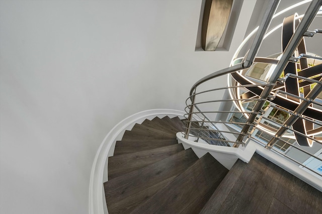 staircase with wood-type flooring