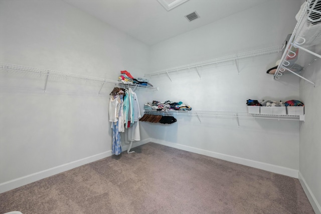 spacious closet featuring carpet