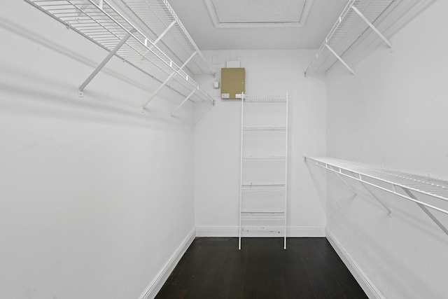 spacious closet featuring dark hardwood / wood-style floors