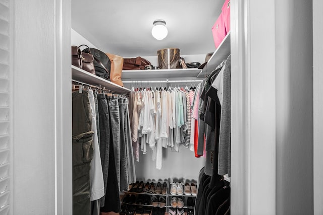 view of spacious closet