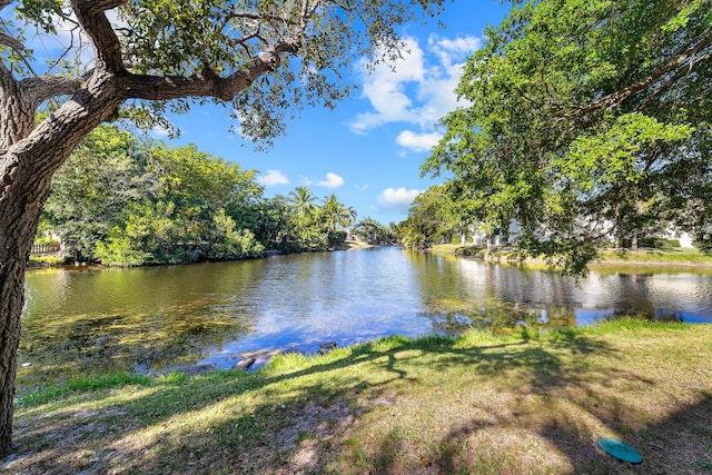 property view of water