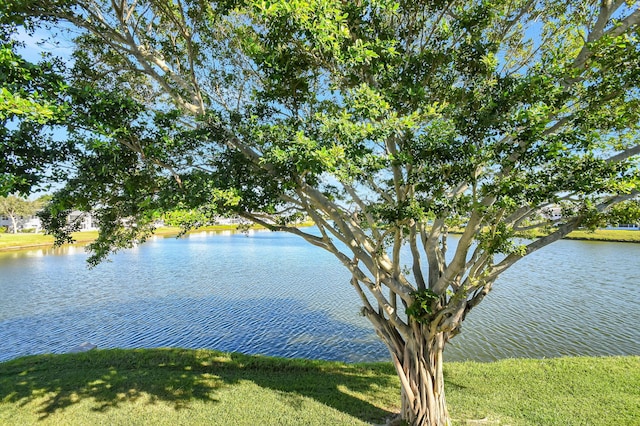 view of water feature