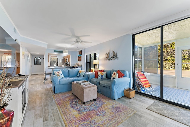 living room with ceiling fan and light wood-type flooring