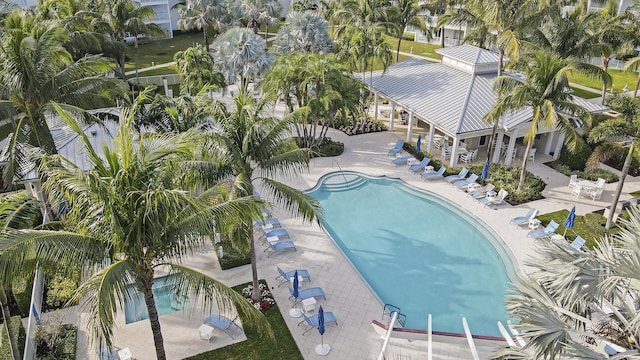 view of swimming pool featuring a patio