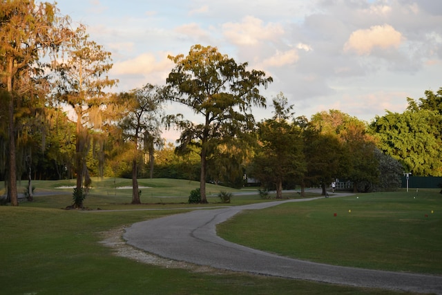 view of community featuring a yard