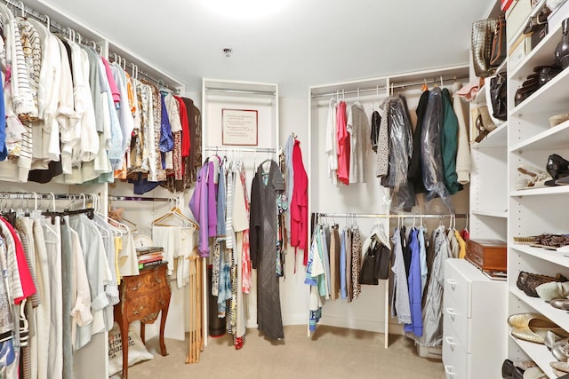 walk in closet with light carpet