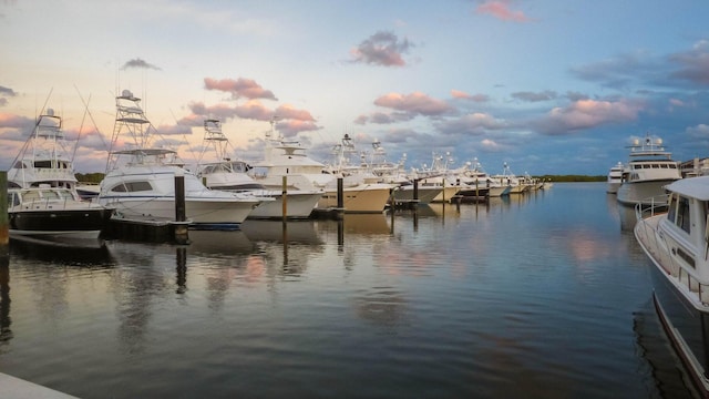 dock area with a water view