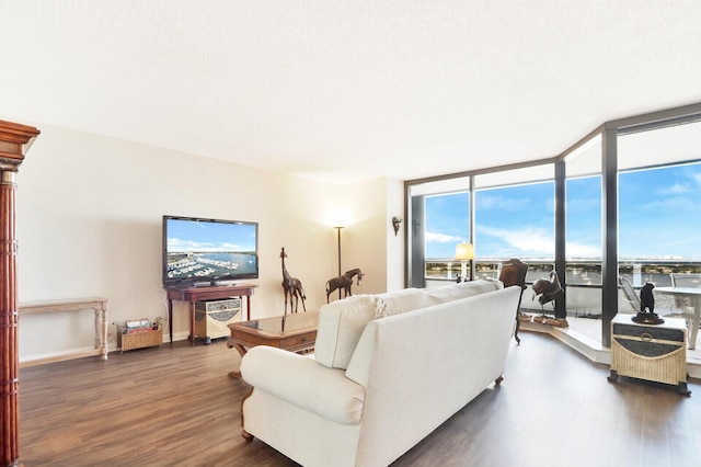 living room featuring floor to ceiling windows, dark hardwood / wood-style flooring, and a textured ceiling