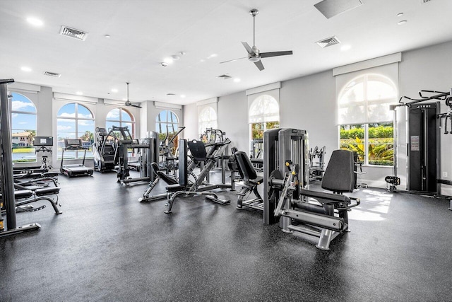 exercise room featuring plenty of natural light and ceiling fan