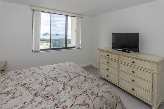 bedroom with light carpet