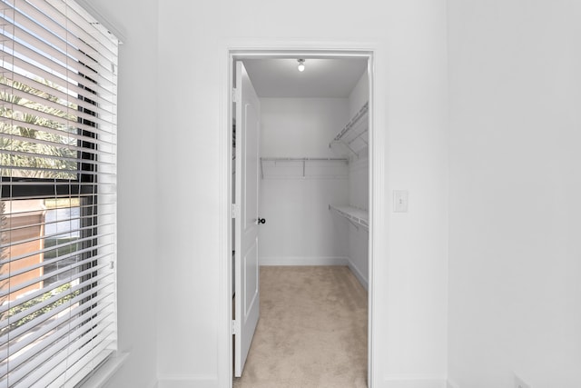 walk in closet with light carpet