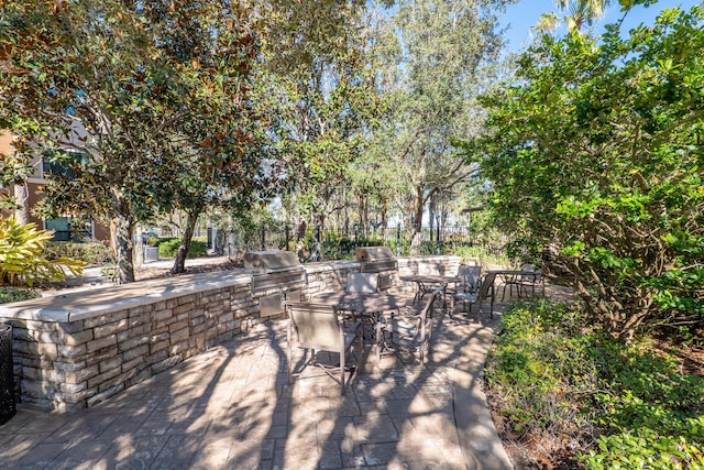 view of patio / terrace with a grill and exterior kitchen