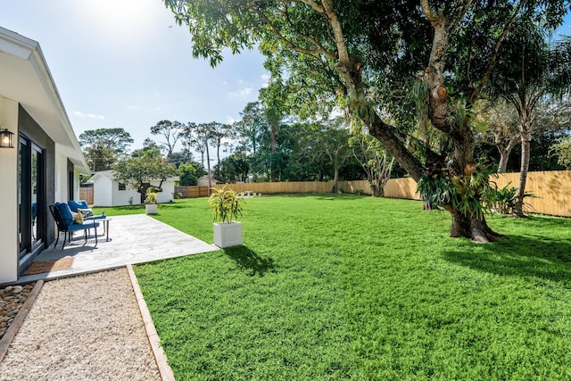 view of yard featuring a patio