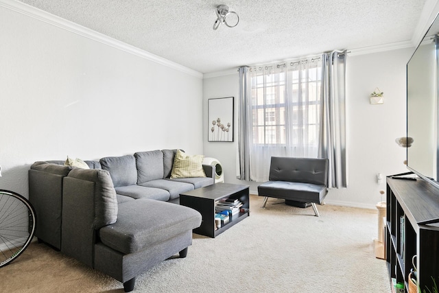 carpeted living room featuring crown molding and a textured ceiling