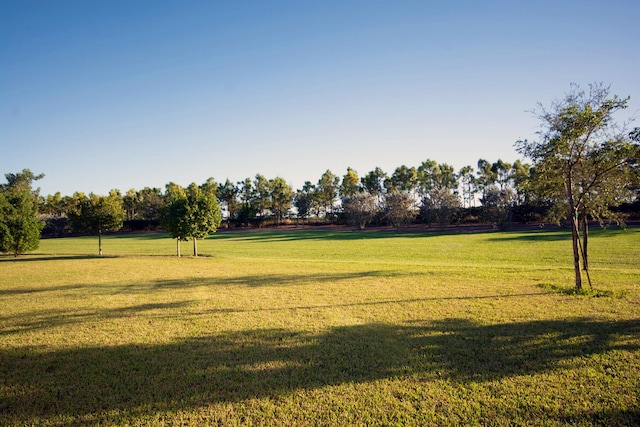 view of community with a yard