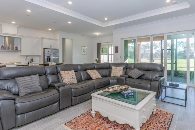 living room with a tray ceiling and crown molding