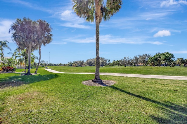 view of community featuring a yard