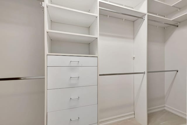 view of walk in closet