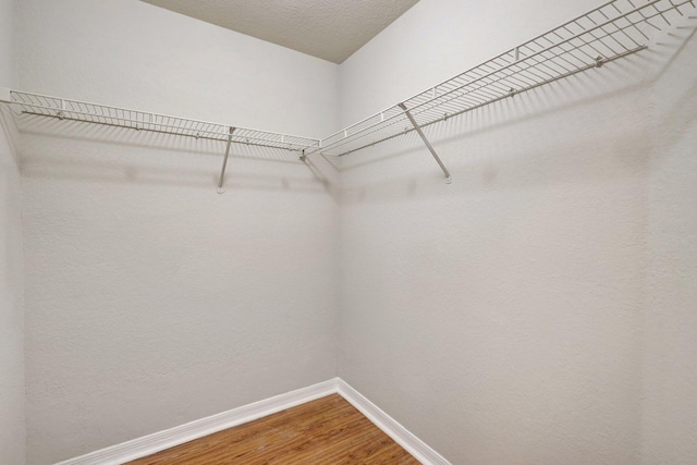 walk in closet with hardwood / wood-style flooring