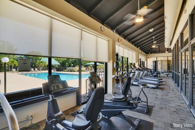 gym with ceiling fan, carpet floors, and high vaulted ceiling