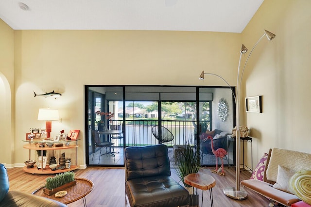 living room with wood-type flooring