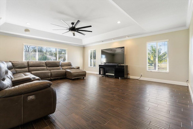 living room featuring a raised ceiling, ornamental molding, dark wood-type flooring, and a wealth of natural light