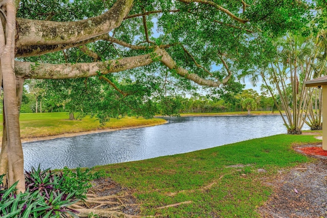 view of water feature