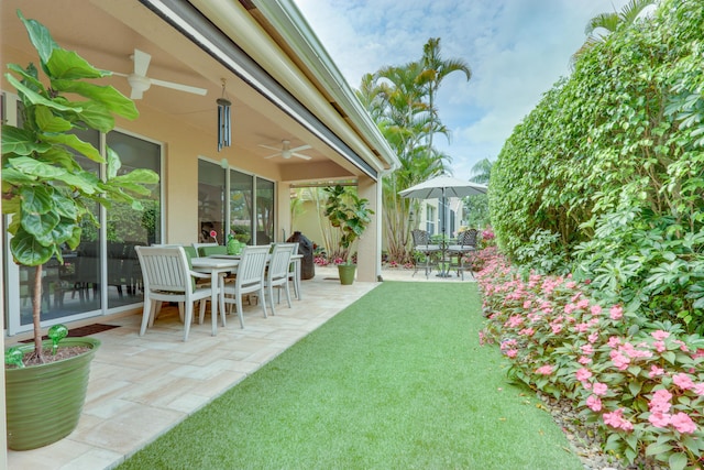 view of yard featuring a patio area and ceiling fan