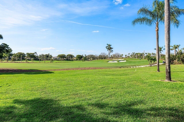 view of home's community featuring a yard