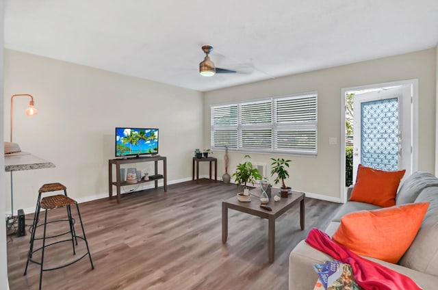 living room with ceiling fan and wood-type flooring