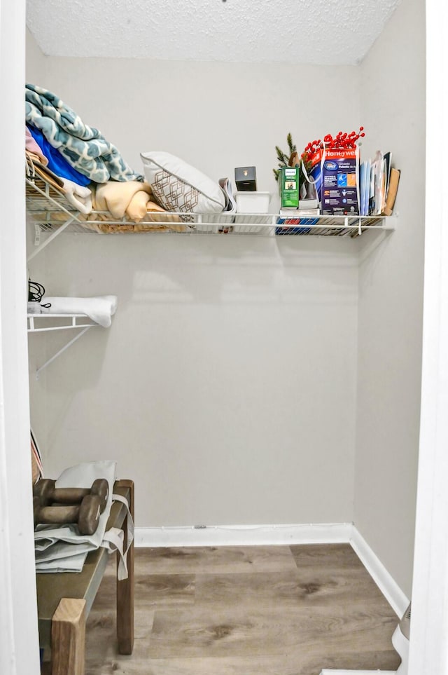 spacious closet with wood-type flooring