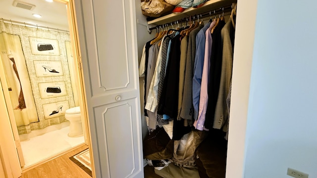 view of closet