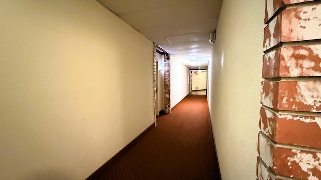 hallway with carpet floors