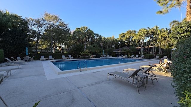 view of swimming pool with a patio