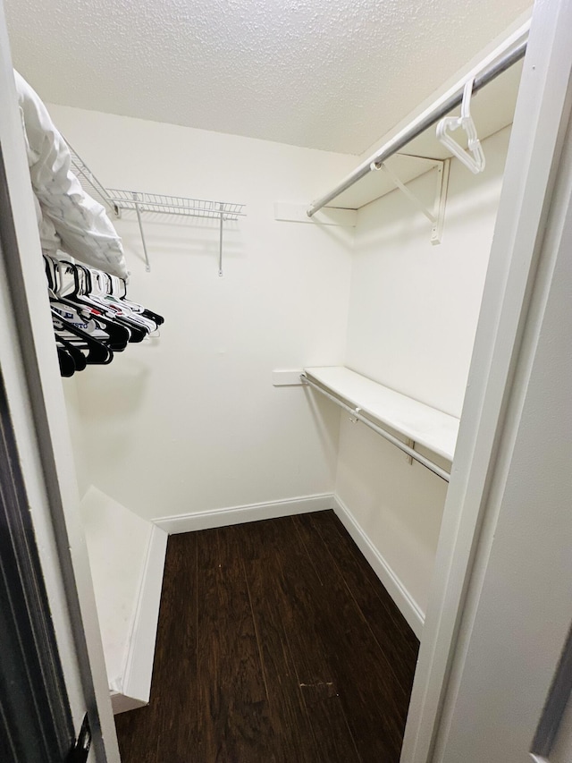 walk in closet featuring wood-type flooring